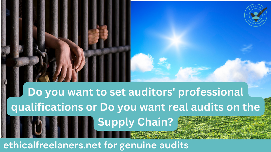 Is there anything more important than auditors' professional qualification training?